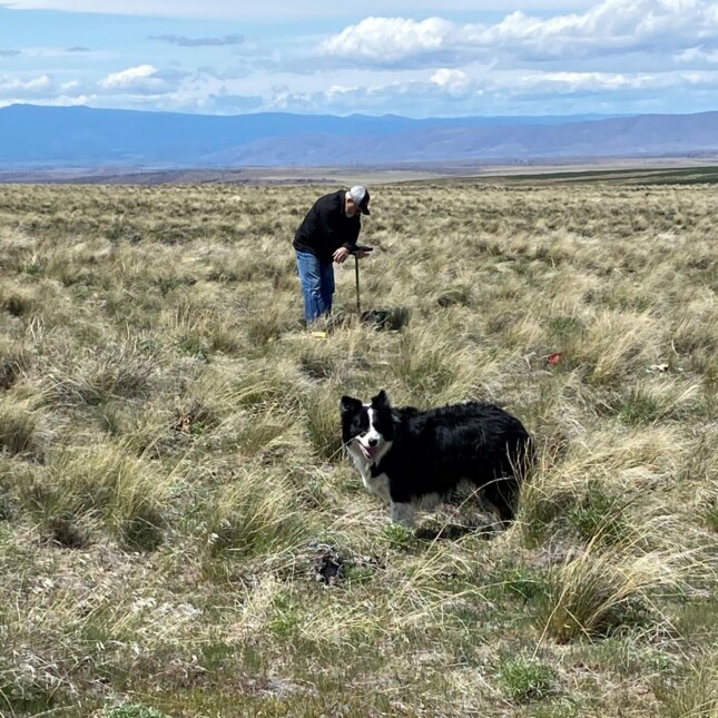 man and dog in field.