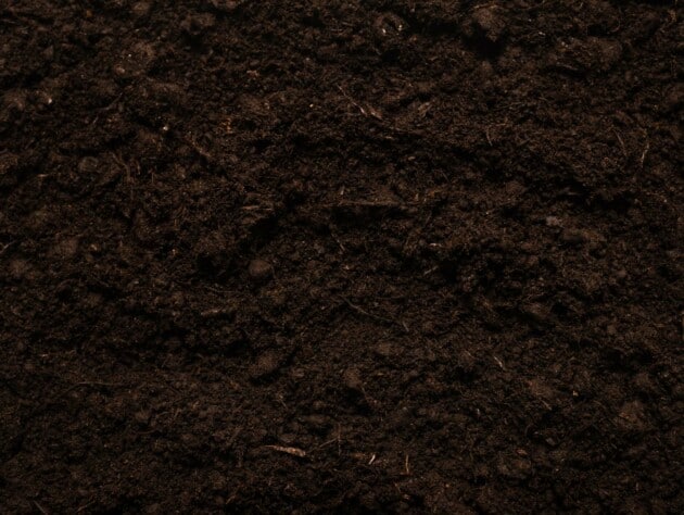 soil.