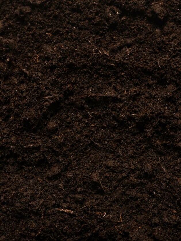 soil.